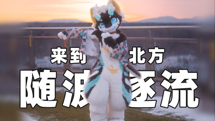 我们都要好好的！从南方到北方的随波逐流！