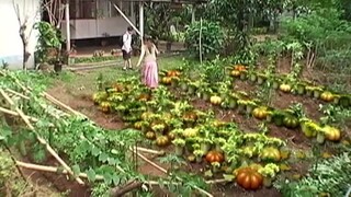 Buhay ay magiging makulay kapag kumain ng magic gulay! 🥬🥦🟢 🍎🍏🥧🧃