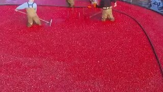 Bakit sinasadyang bahain ng mga farmers ang kanilang tanim?
