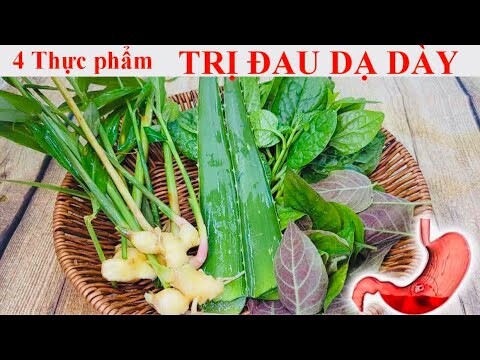 4 Thực phẩm LÀM LÀNH ĐAU DẠ DÀY - VIÊM LOÉT DẠ DÀY - TRÀO NGƯỢC DẠ DÀY -  MỠ MÁU CAO - GAN NHIỄM MỠ