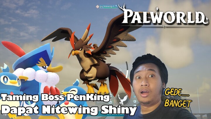 Taming Boss Penking dan Nitewing Shiny