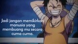 luffy