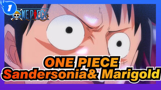 ONE PIECE|Luffy VS. Boa Sandersonia&Boa Marigold_1