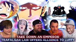 Trafalgar Law offers Alliance to Luffy ! Reaction Mashup