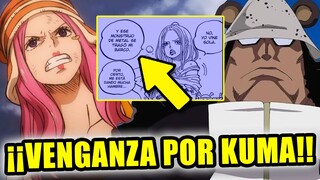 ¡¡BONNEY VA A INICIAR UNA GUERRA CONTRA VEGAPUNK POR KUMA!! 😱😱 | ONE PIECE TEORÍA ✅✅