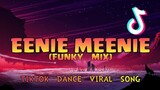 Eenie Meenie (Tiktok Dance Viral Song 2021) Fvnky Mix | Sean Kingston Justin Bieber feat. DJ Adrian