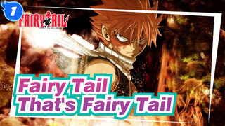 [Fairy Tail] Walk to One's Own Goal--- That's Fairy Tail_1