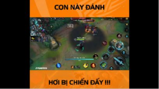 Con này đánh hơi bị chiến đấy