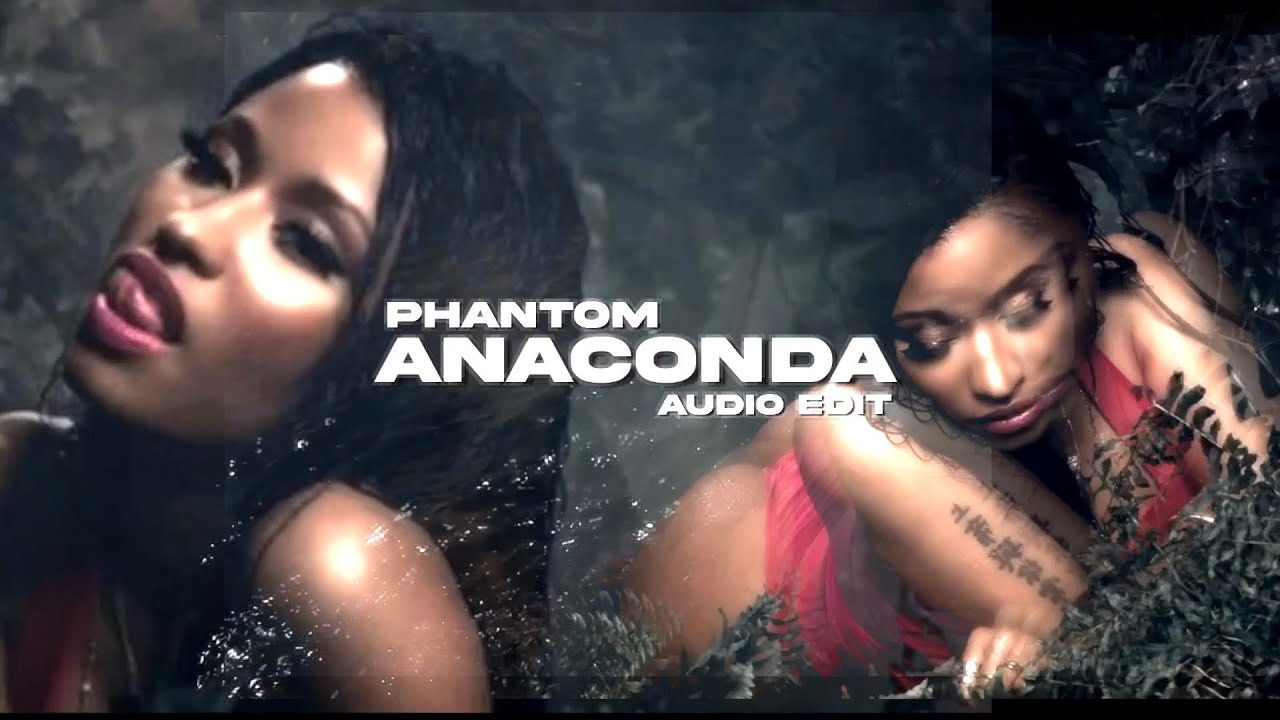 anaconda nicki minaj lyrics