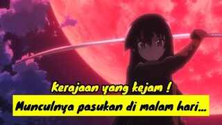 Review Anime Akame Ga Kill