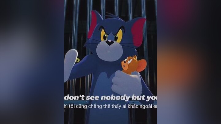 I don’t see nobody but you ᥫᩣ sau5894 lyrics douyin抖音 nhacchill tomandjerry xuhuong fyp