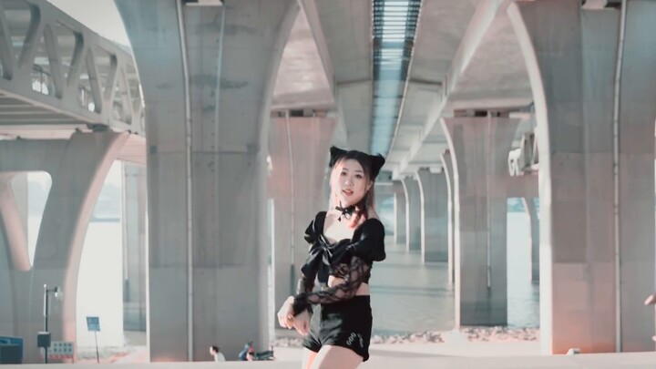 aoa- Tarian catwalk di sepanjang lagu. Apakah kucing kecil ini menyentuh hatimu?