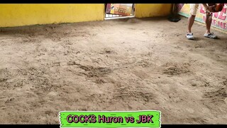 Cocks Huron n JBK