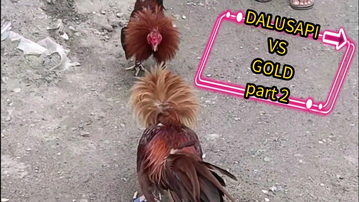 DALUSAPI vs GOLD part 2