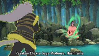 Hashirama Belajar Sage Mode Mokuton Melalui Enma - Misteri Jutsu Elemen Kayu Shodaime Hokage