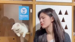 🐱喵喵 : 为什么不抱我，我不是臭宝吗😯