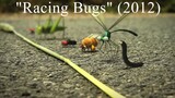 Racing Bugs (2012)