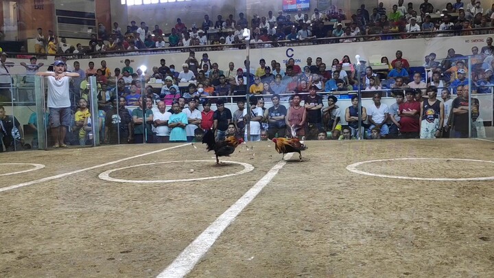 first fight win @san juan coliseum