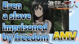 [Attack on Titan]  AMV | Eren, a slave imprisoned by freedom