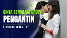 SUDAH MAU NIKAH MALAM ONE NIGHT STAND - ALUR FILM COCOK TANAM