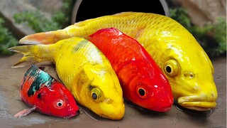 KOI Warna warni Terindah Menangkap Ikan mas besar  Eksperimen Memasak   Stop Motion ASMR Relaxing