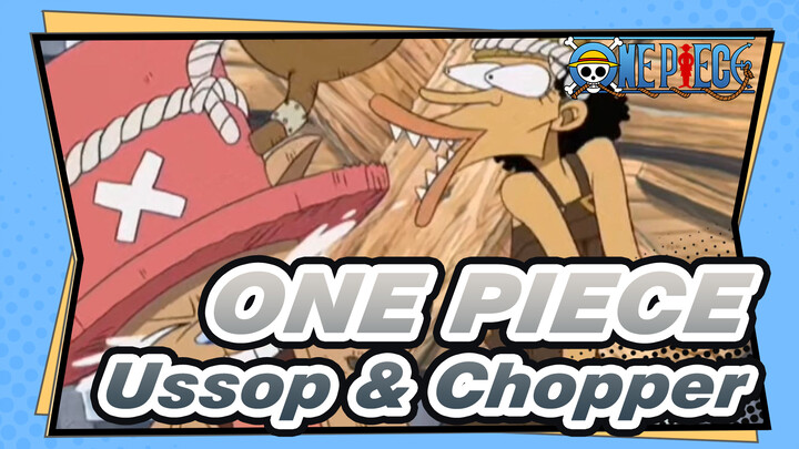 ONE PIECE
Ussop & Chopper