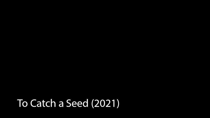 To Catch a Seed (2021)