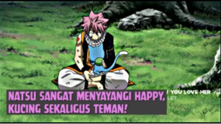 Happy, Kucing sekaligus Teman Natsu❗❗