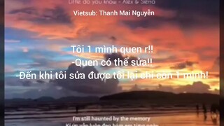 [Vietsub] Little do you know - Alex & Sierra