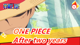 ONE PIECE| [Epic compilation] After two years_1