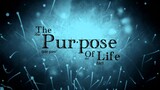 The Purpose of Life (Part 1 of 3)