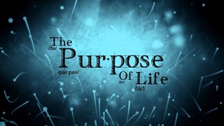 The Purpose of Life (Part 3 of 3)