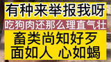 有种来举报我，只要你敢举报，我就敢让你蹲进去，这是一个领养人豪横的言语，下次我要录音，一年中的忙碌有时候感觉毫无意义。是自己做的还不够完善，我和小动物的这一年