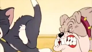 Tom and Jerry Don't mess with the dog