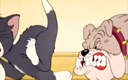 Tom and Jerry Don't mess with the dog