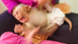 OMG!! Monkey Yaya Crying Seizure Angry Mom Take Her Bottle For Put Breakfast Milk