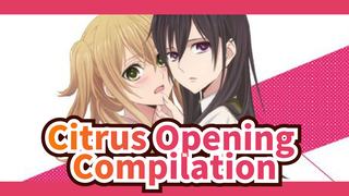 Citrus Opening Compilation