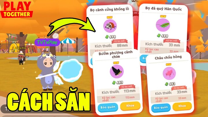 Thời Gian + Địa Điểm Săn Full 4 Con Côn Trùng Tím Mới Thành Công 100% | Play Together