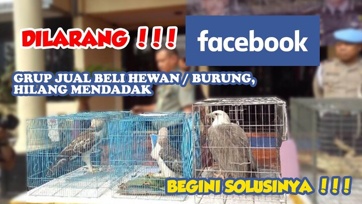 grup jual beli burung / grup facebook banyak hilang !!! begini solusinya