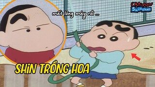 Trồng hoa & Chạy đến cửa hàng tạp hoá & Vẻ ngoài không lông mày | Shin Cậu Bé Bút Chì