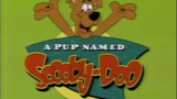 A Pup Named Scooby-Doo S3E7 - Catcher on the Sly (1991)