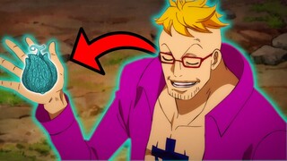 😲 ¿Por QUE EXISTEN AKUMA NO MI más RARAS que OTRAS? 🤔 One Piece - Preguntas y Respuestas 29