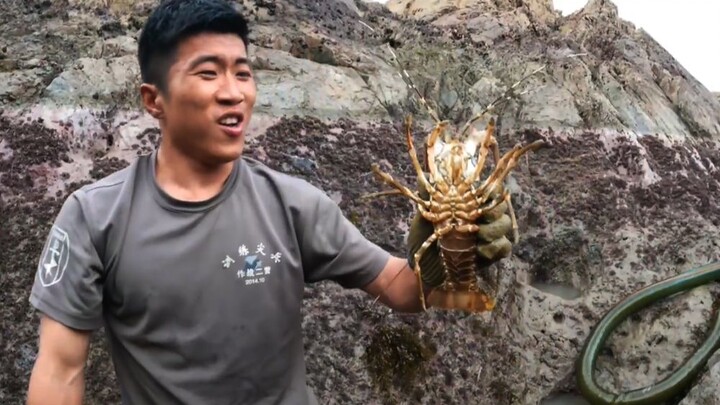 Membeli Hati 60 Yuan dan Menjadikannya Sebagai Umpan, Membuat Sekelompok Lobster Berduri Memasuki Lubang! Gan Le Yang Tak Melihat Formasi Perang ini Menjadi Jahat!