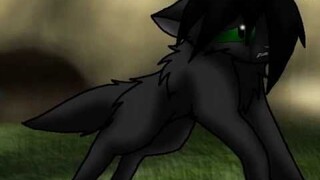 Hollyleaf AMV - Hurricane