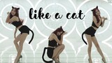 [DANCING] Vũ đạo gợi cảm 'Like a cat', mau ôm chú mèo nhỏ về nhà