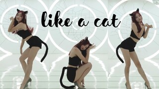 偷跑出来的小野猫 快带回家❤️Like a cat【源儿】