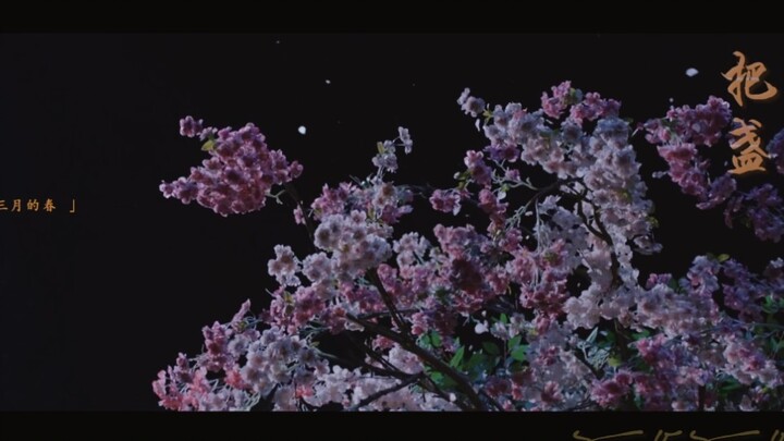 【把盏】×空镜 — 《将进酒》广播剧第一季主题曲自制mv