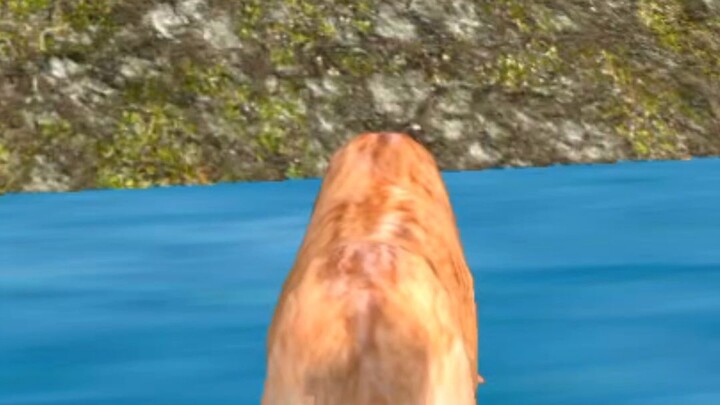 Wolf Attack- Wildlife GamesGame Link- https://shorturl.at/Zj4my