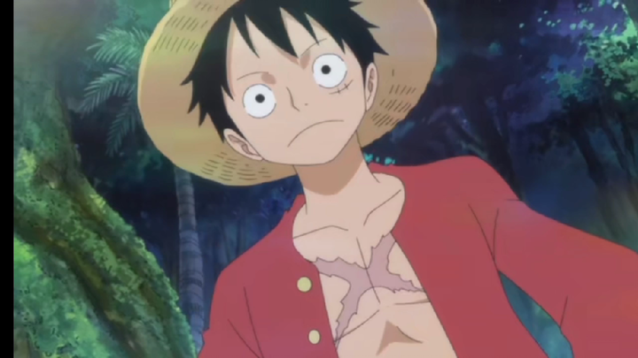 Ayo Temui Tuan Nekomamushi # Brook Song #Momen menyentuh One Piece #Luffy