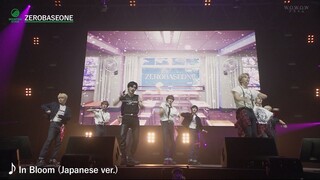 240928 WOWOW SUMMER SONIC ハイライト ZEROBASEONE CUT